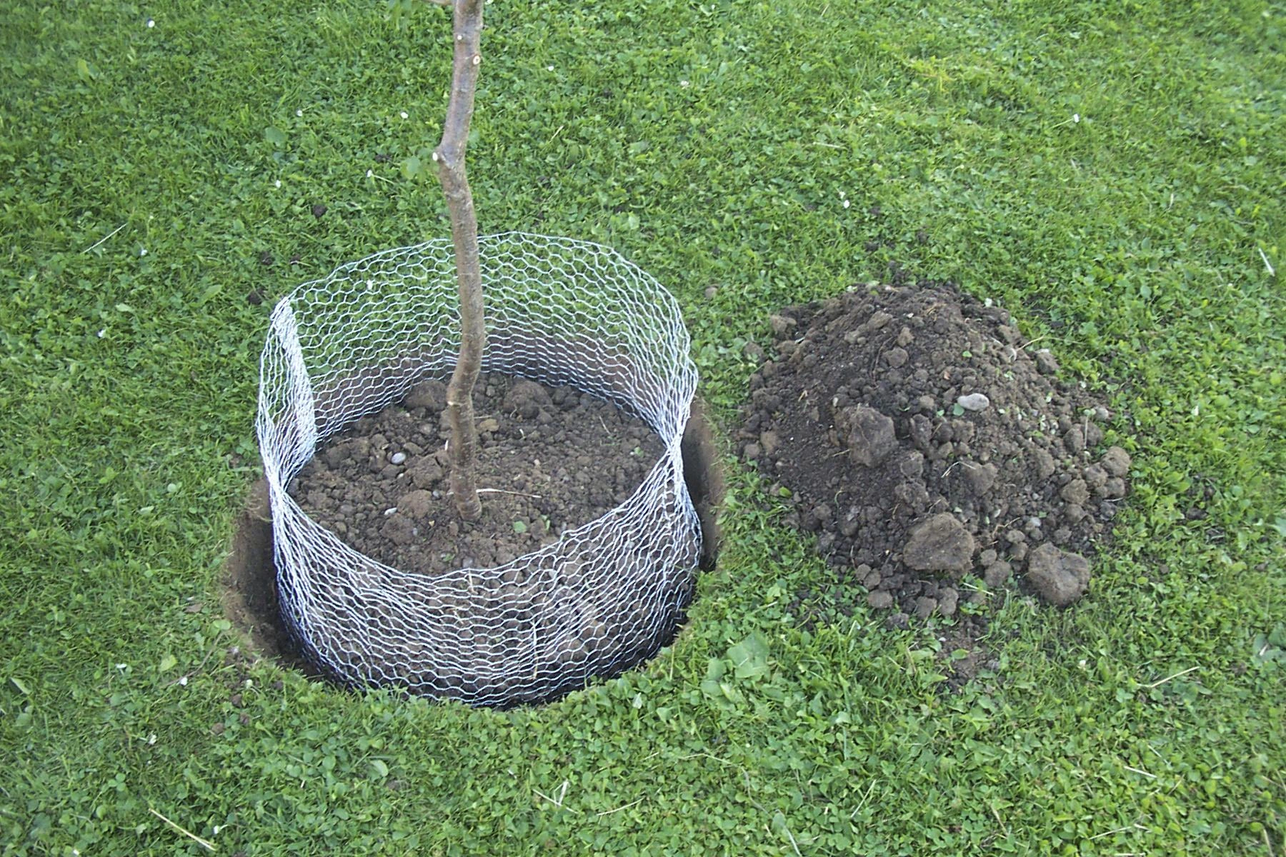Wühlmauskorb klein, 40 cm hoch - 4