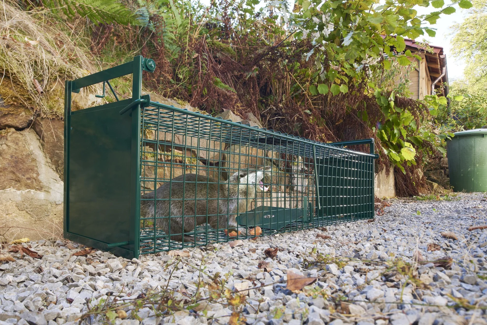 Profi Lebendfalle "2" - 120 x 27 x 27 cm - 4