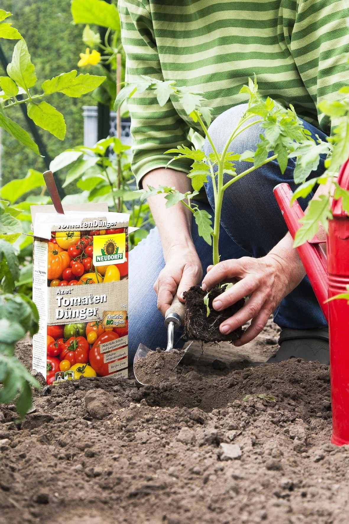 Azet Tomatendünger - 2,5 kg - 3