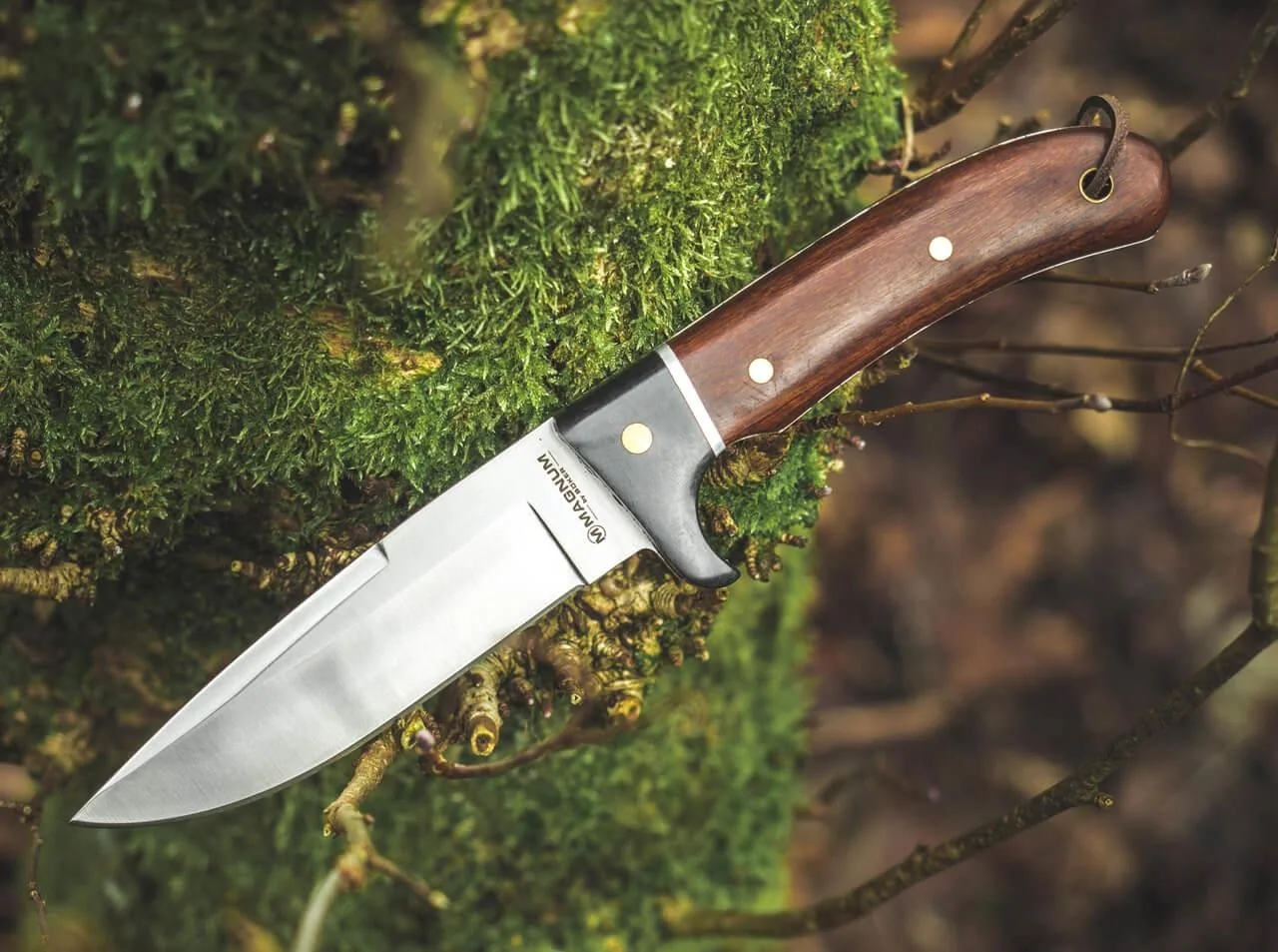 Elk Hunter Special - 3