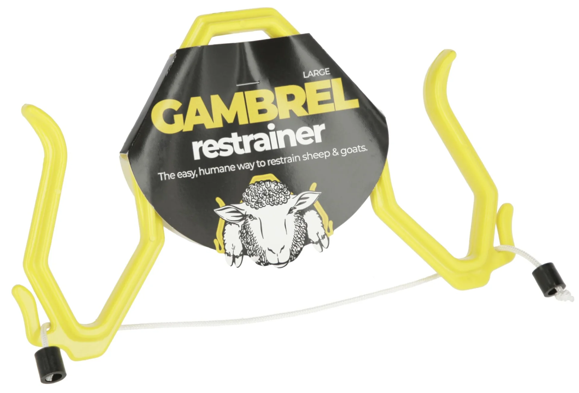 Immobilisierungsbogen 26 x 16,5 cm - 2