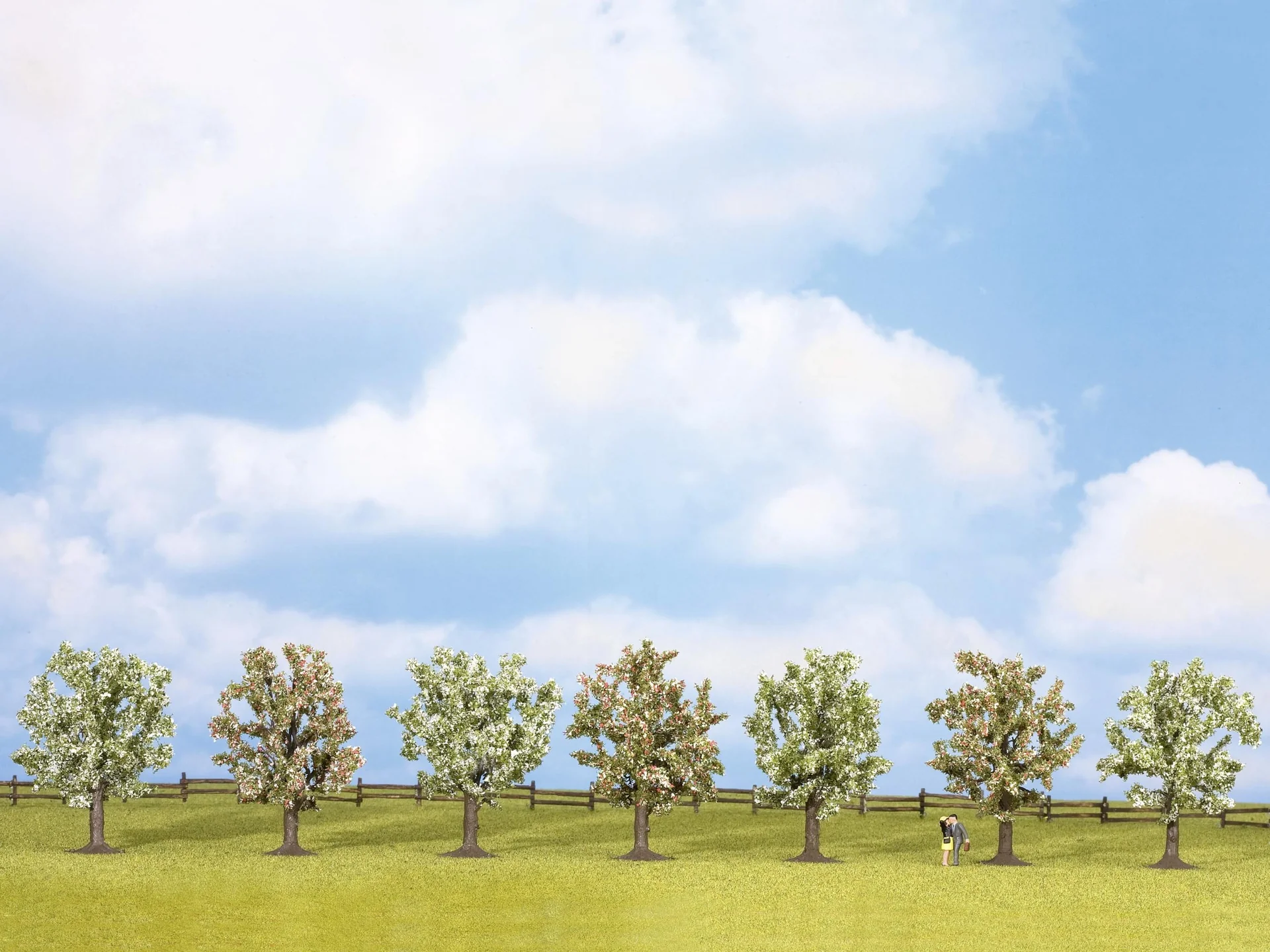 Obstbäume, blühend, 7 Stück, ca. 8 cm hoch - 2