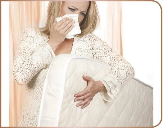 Milbensauger "Edition Rosegold" mit UVC Lampe - 4