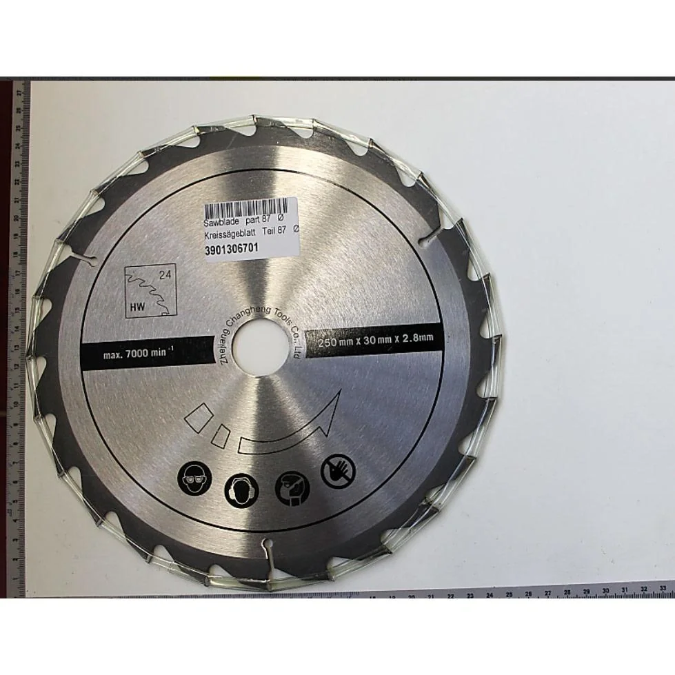 Kreissägeblatt 24T 250x30 mm - Passend für HS100S - 2