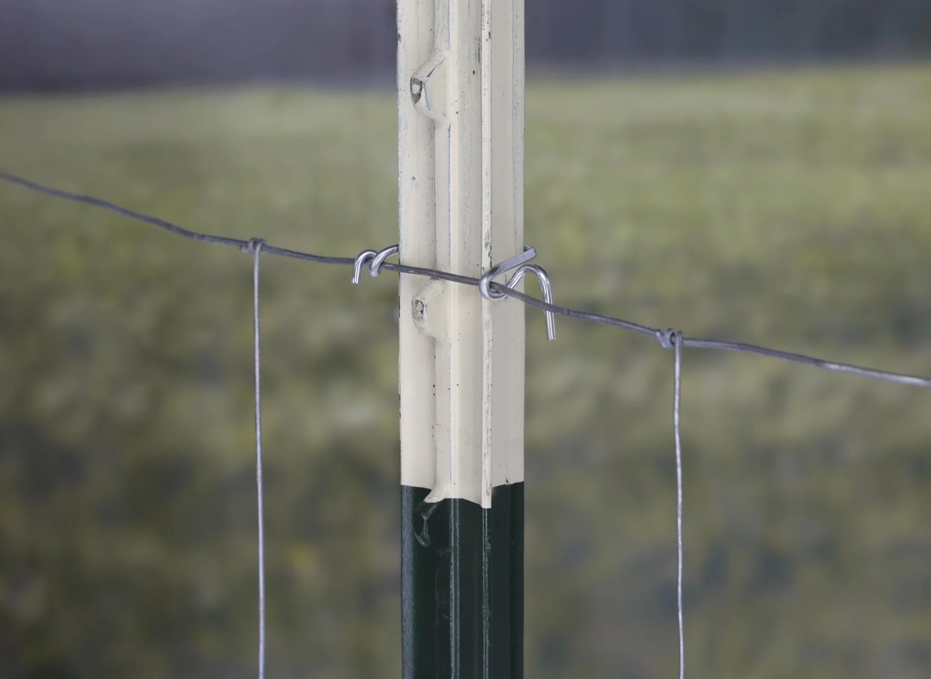 Befestigungsclips für T-Pfähle, 25 Stück - 3