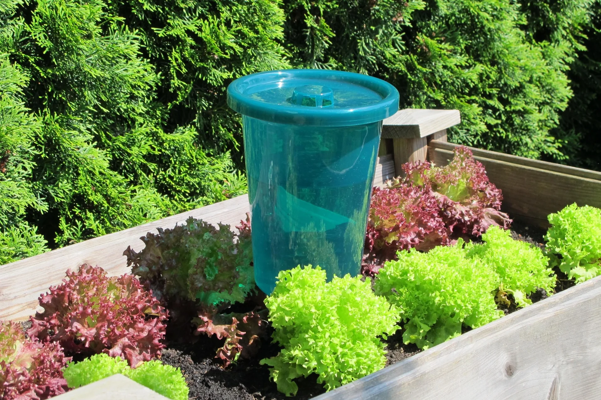 Bewässerungssystem - Hydro Cup im 4er Set - 8