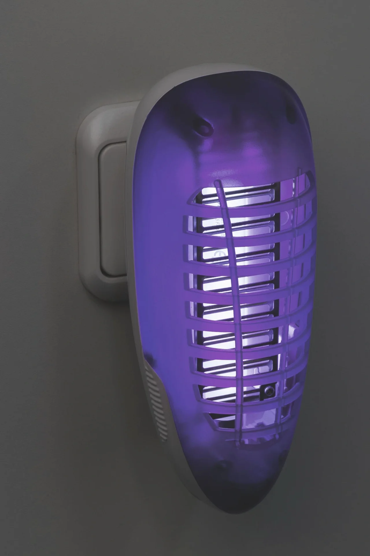 Elektrischer Insektenvernichter MINI KILL - 2