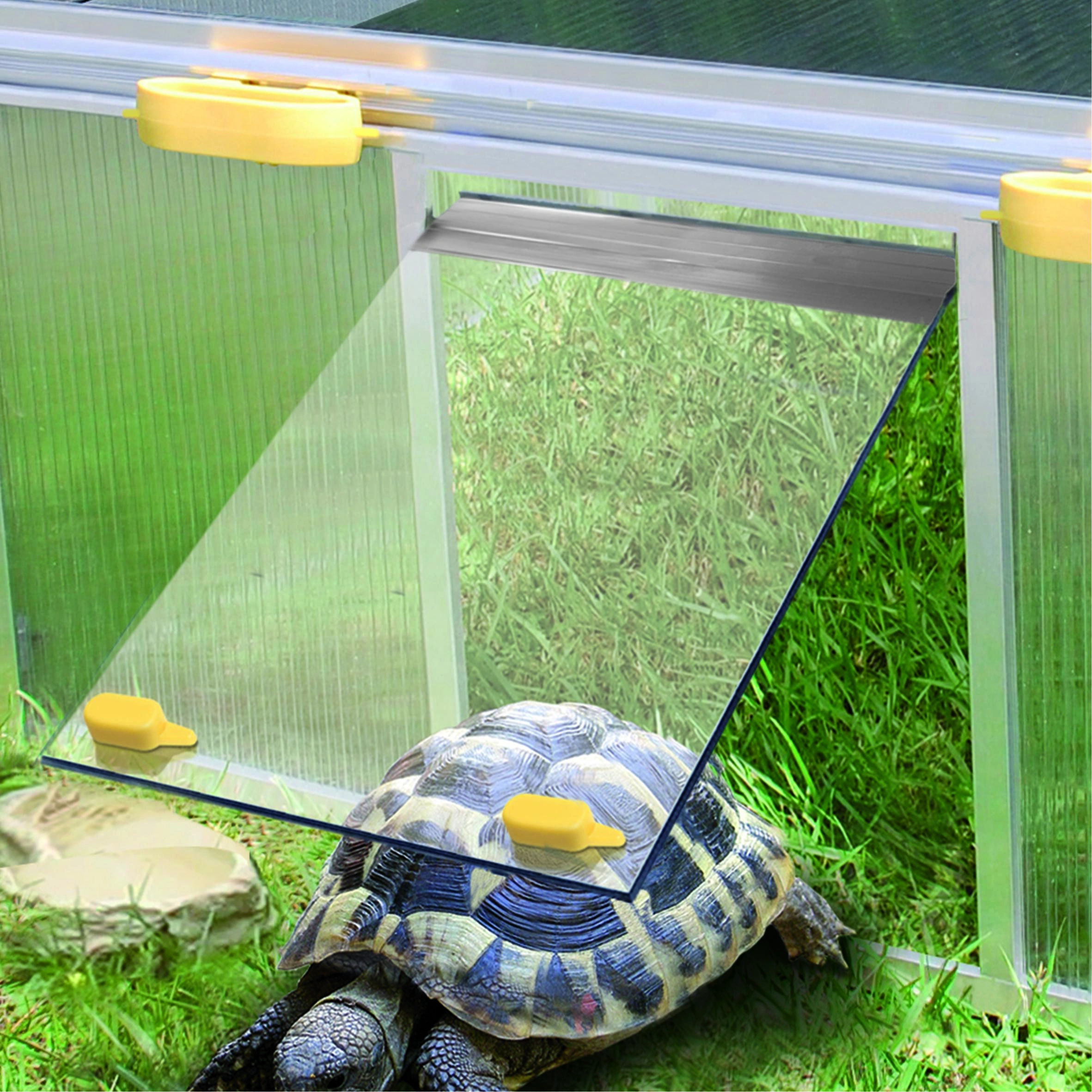 Schildkrötenhaus PAULA - 6