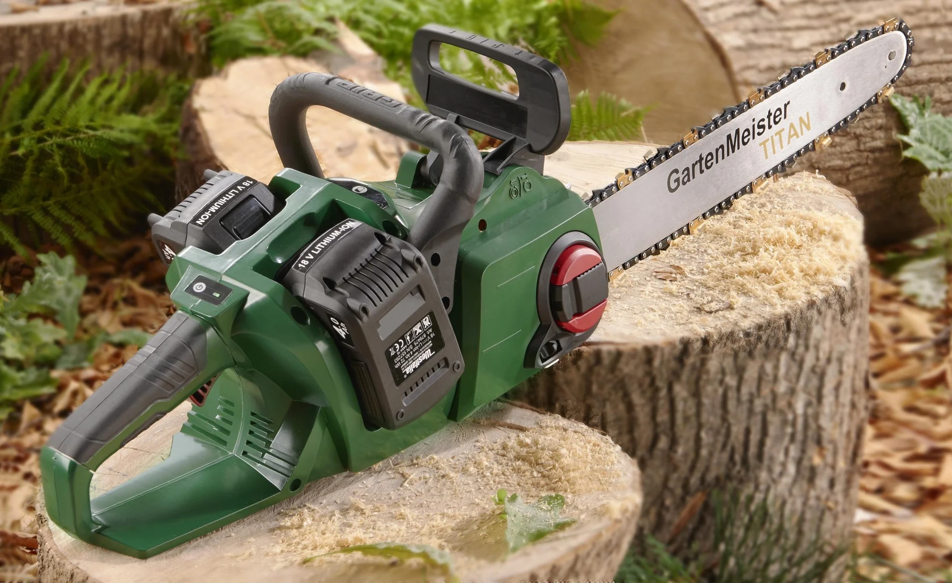 Set Akku-Kettensäge + 2 x Akku 4 Ah + Doppelschnell-Lader+Kette - 3