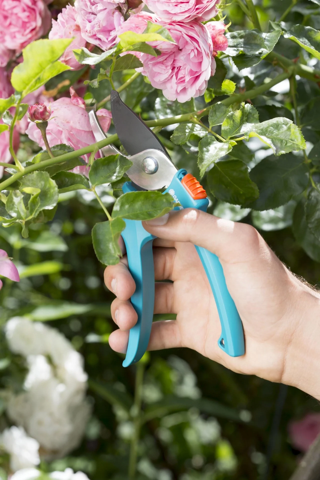 Classic Bypass-Gartenschere, maximale Schnittstärke 18 mm - 9