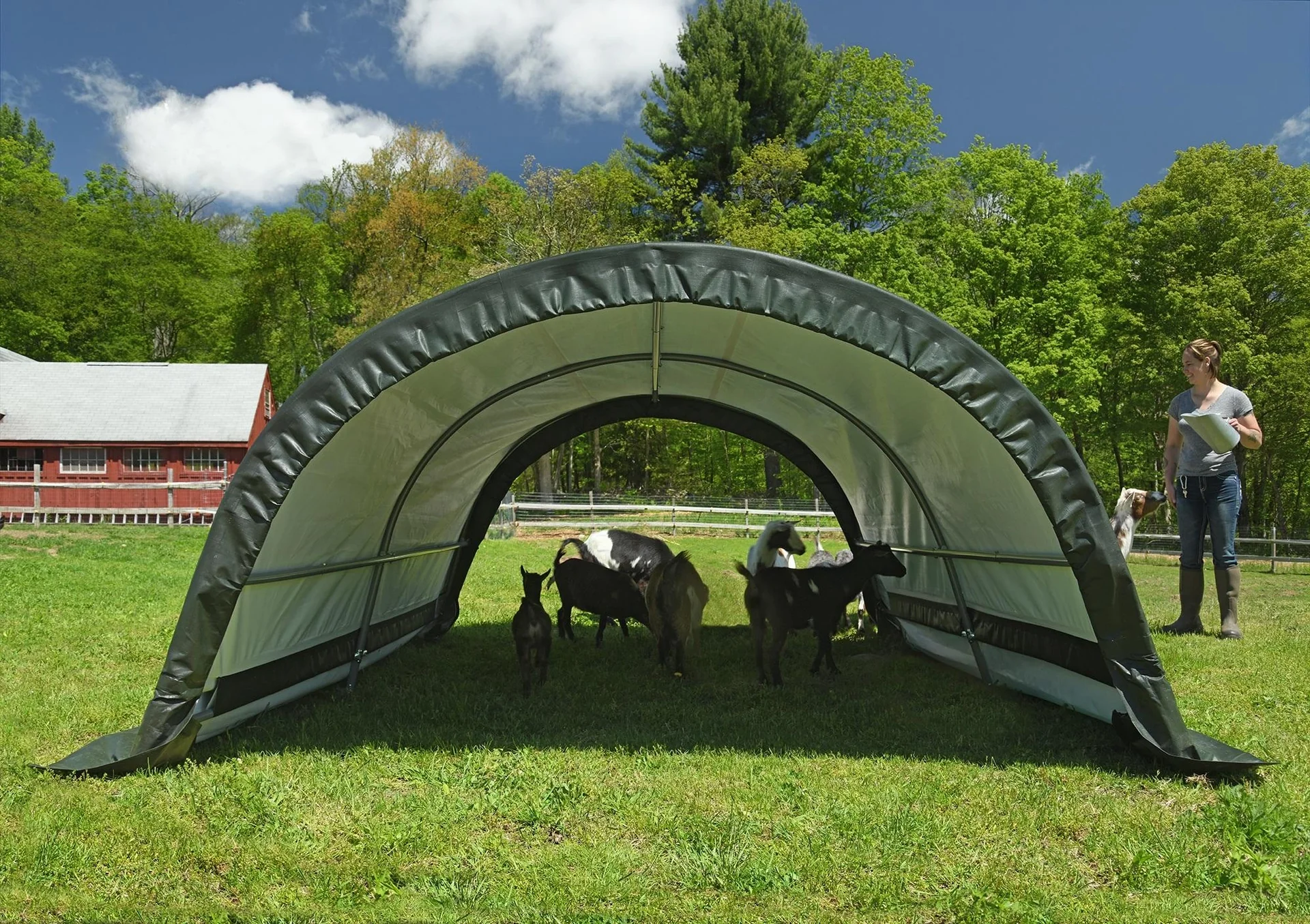 ShelterLogic Run-In-Weidezelt, 7,8 m² grün - 5