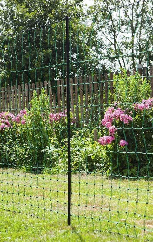 Geflügelnetz 106 cm mit Doppelspitze, 50 m, nicht elektrifizierbar - 12