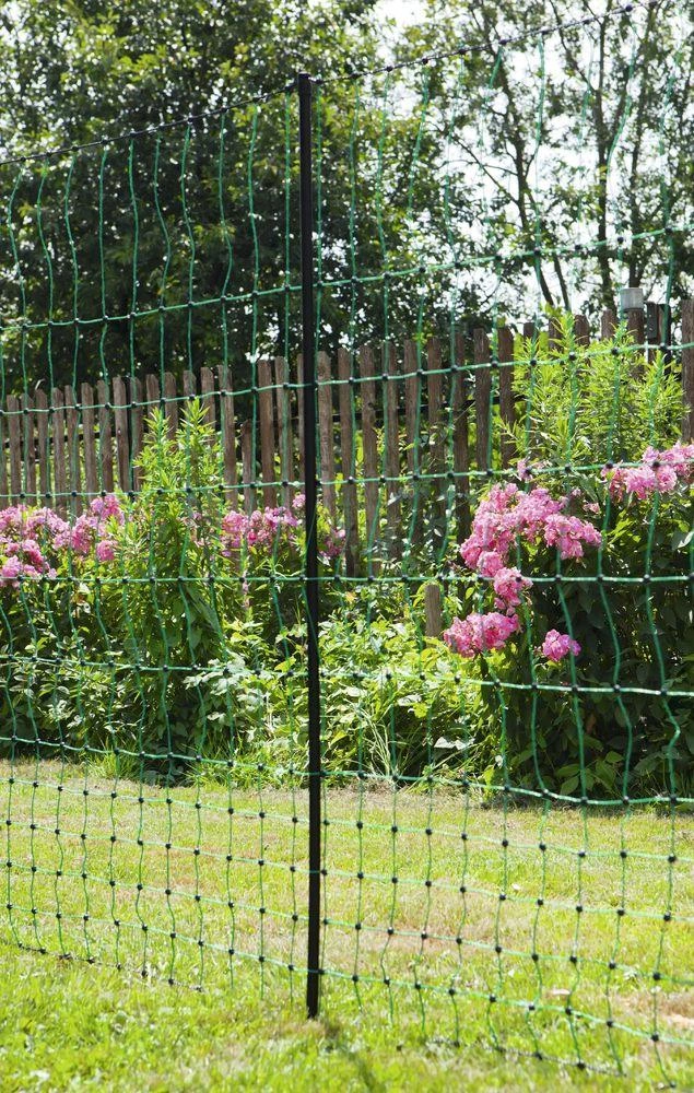 Geflügelnetz 106 cm mit Doppelspitze, 50 m, nicht elektrifizierbar - 12