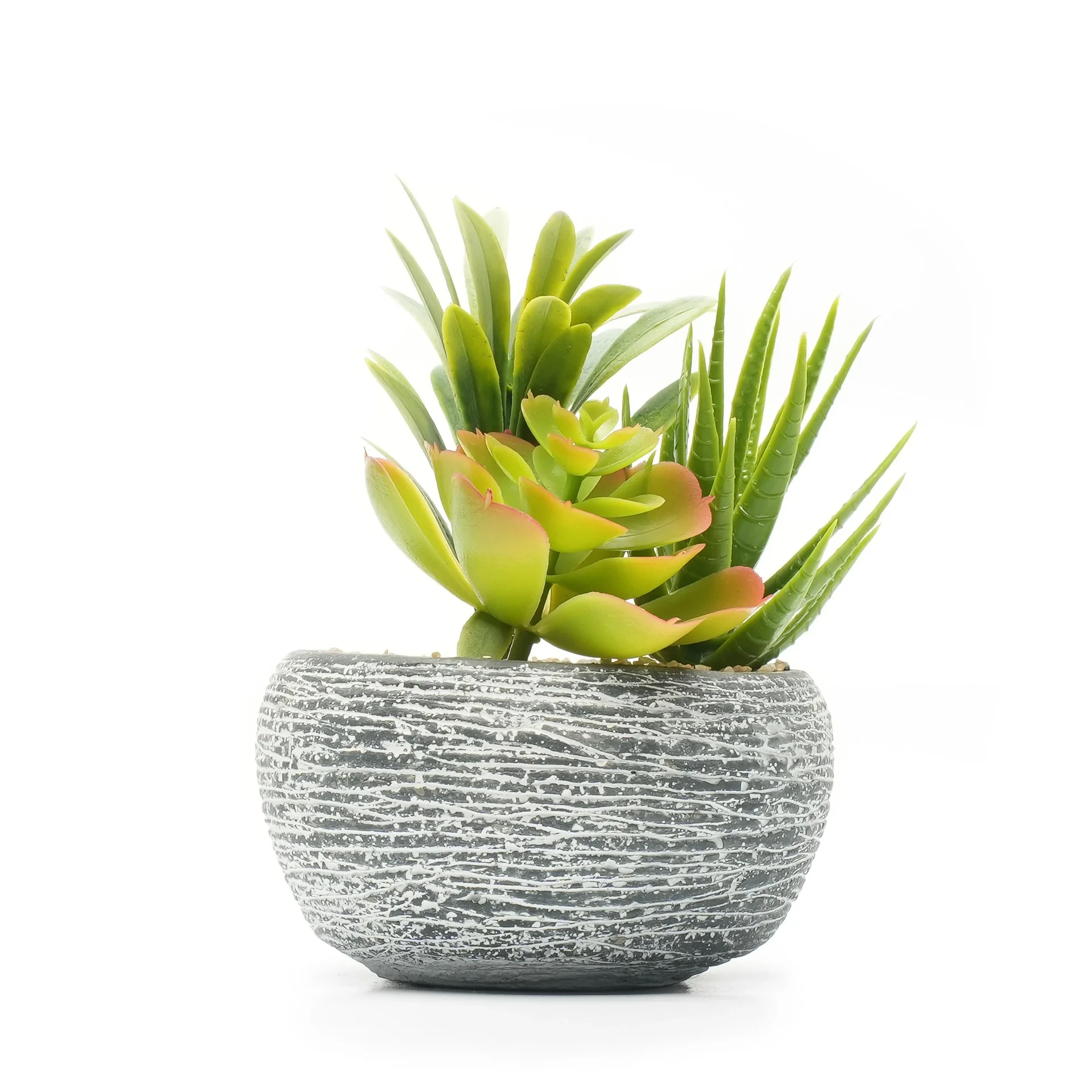 Kunstblume Sukkulenten im Beton 2er Set - 4