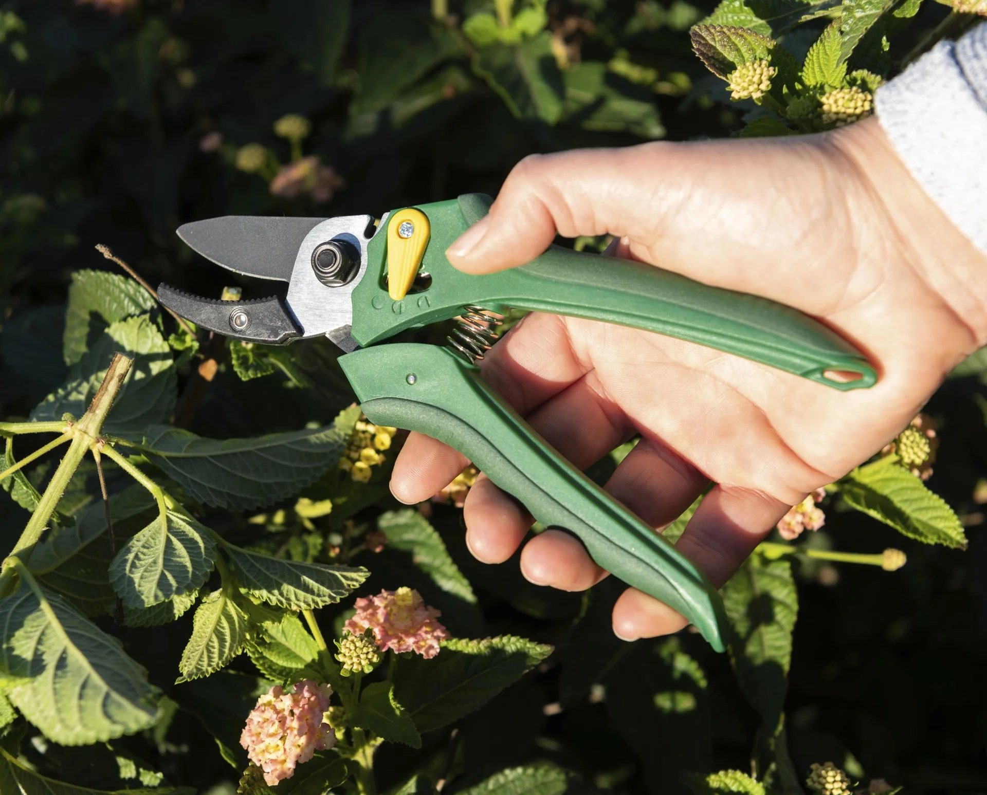 Einhand-Gartenschere - 11