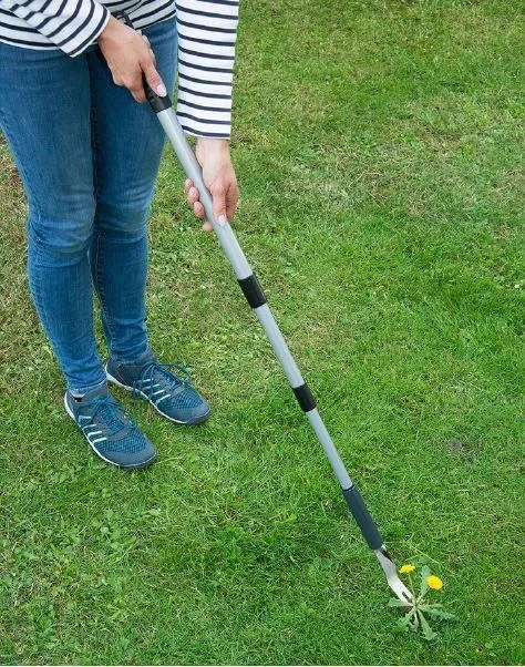 Unkrautstecher inklusive Teleskopstiel - 2