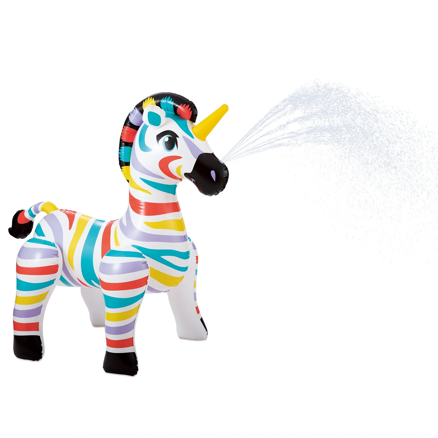 Zebra - 9