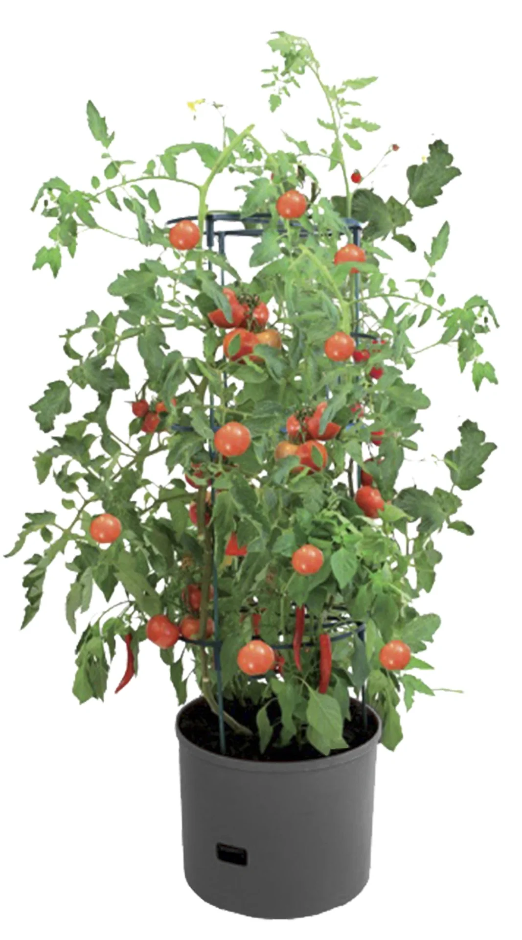 Pflanzturm "Maxitom Jumbo", terrakotta im Spar-Set mit Abdeckhaube - 6