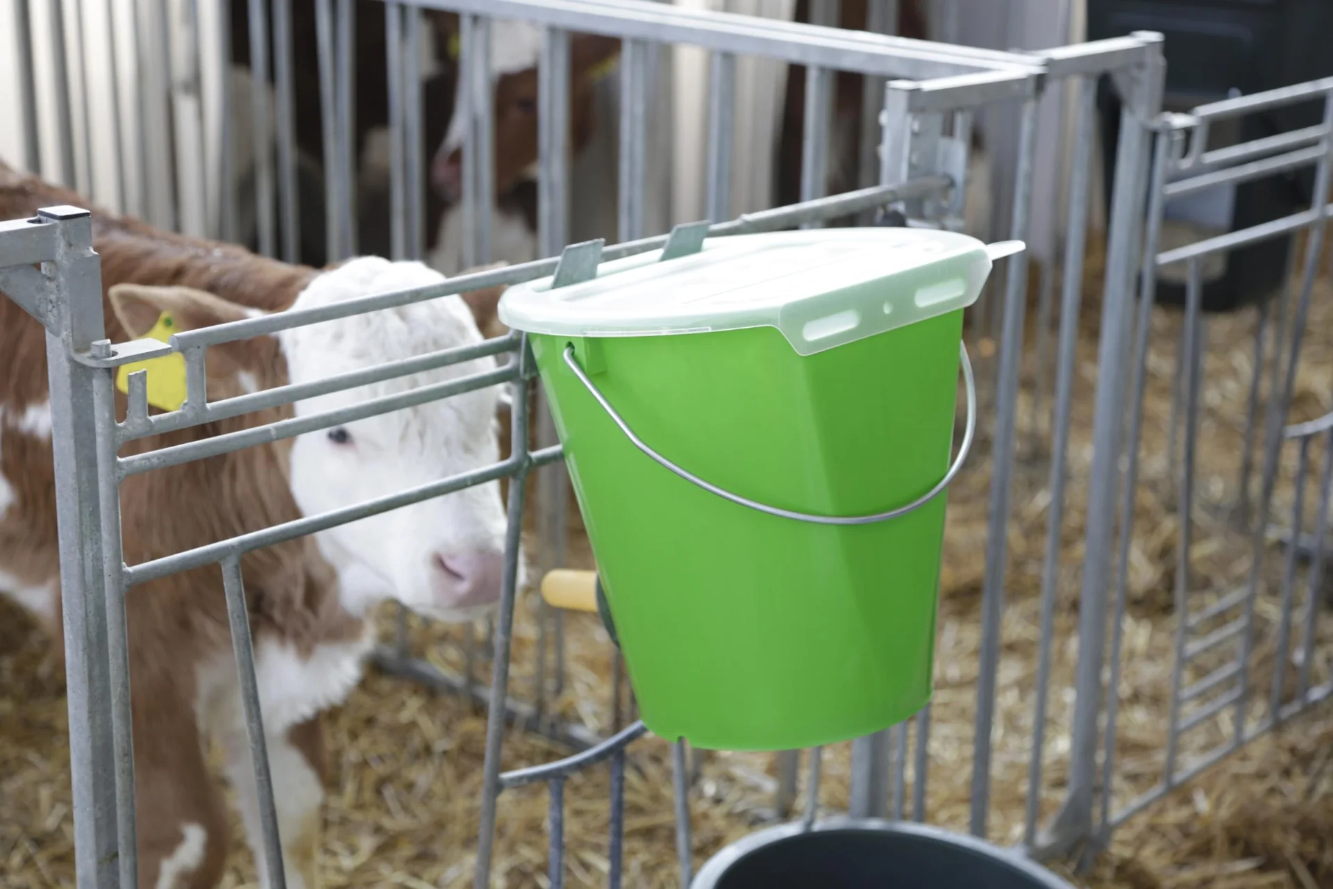 Deckel für Tränkeeimer MilkGuard, weiß transparent - 5