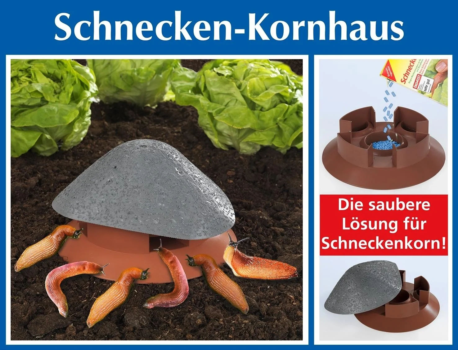 Schneckenkorn-Haus - 6