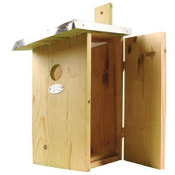 Beobachtungsnistkasten - 2