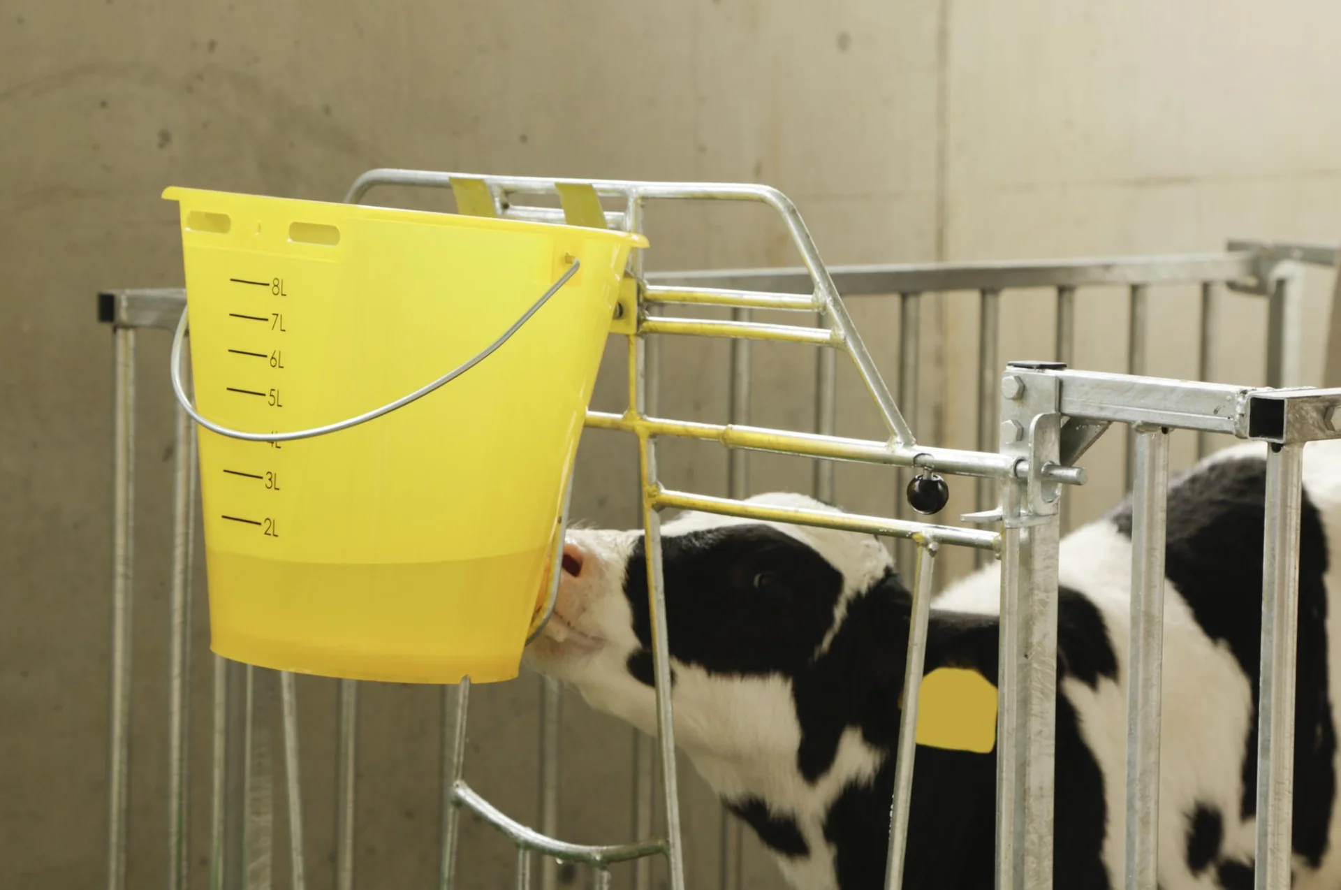 Kälber Tränkeeimer 8 l, gelb transparent mit Skala - 4