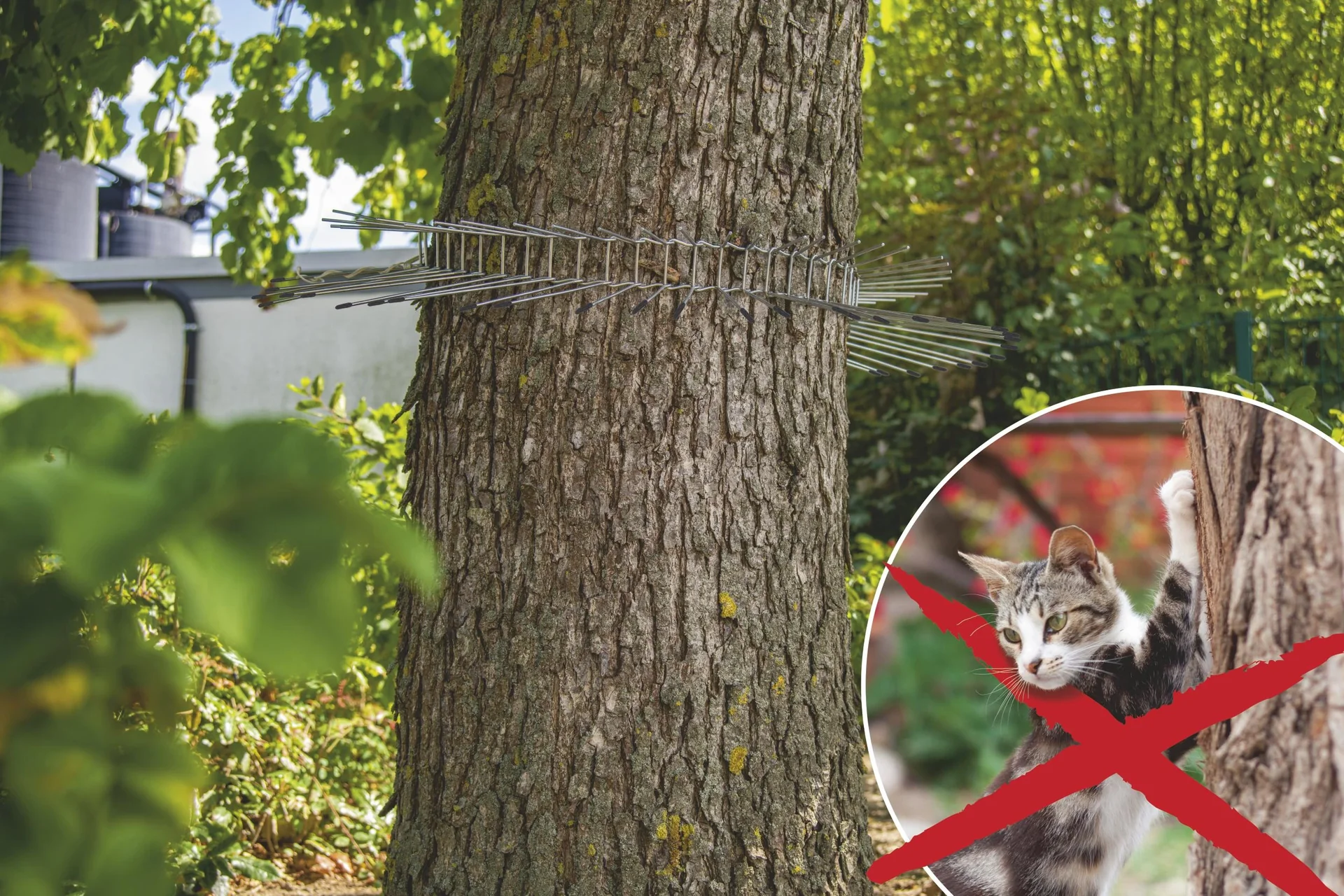 Katzenabwehrgürtel - 11