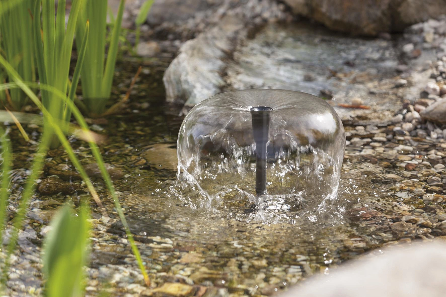 Solarpumpensystem "Splash" mit 5 W Solarmodul, 470 l/h, max. 75 cm - 6
