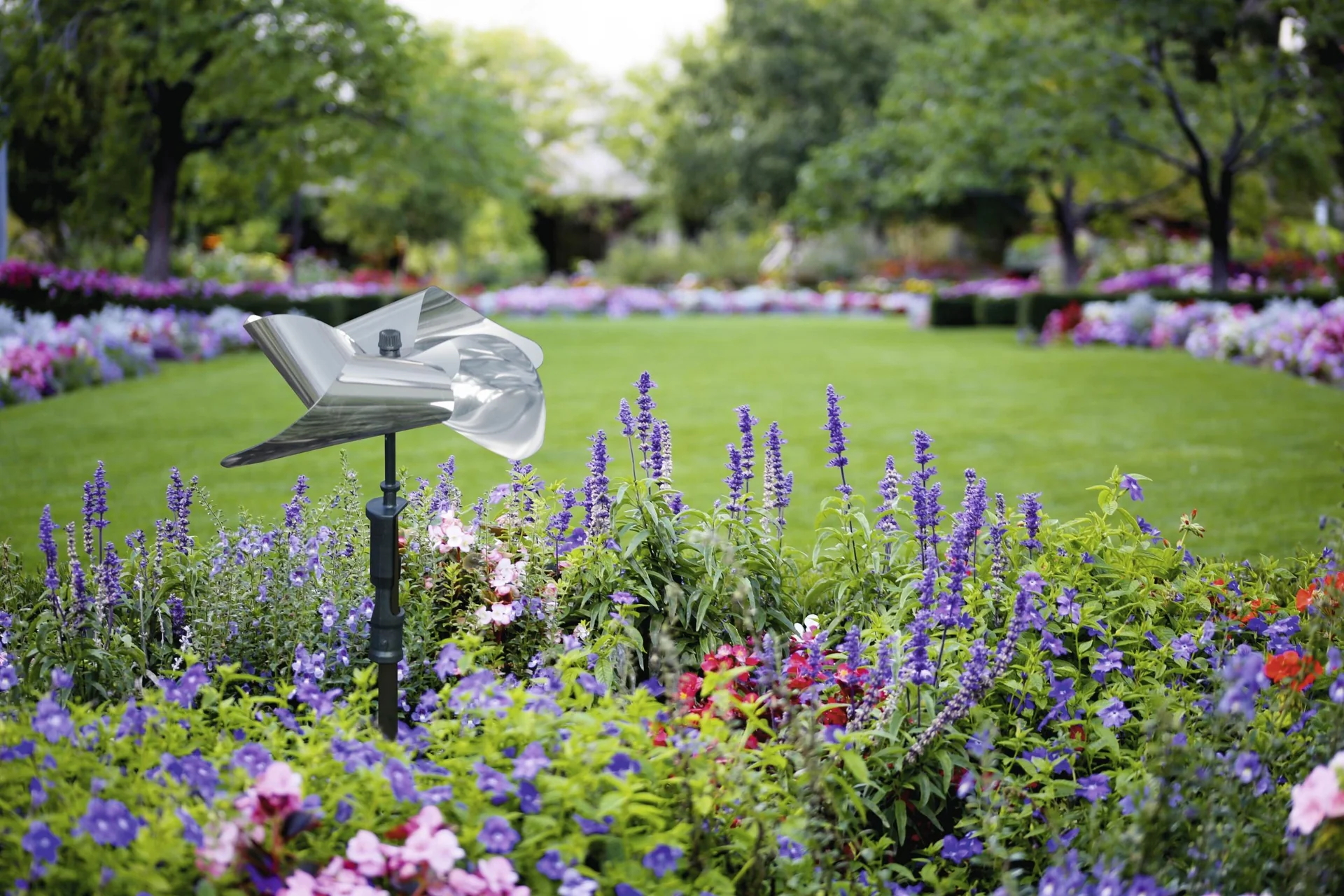 Vogel - Frei Windmühle - 5