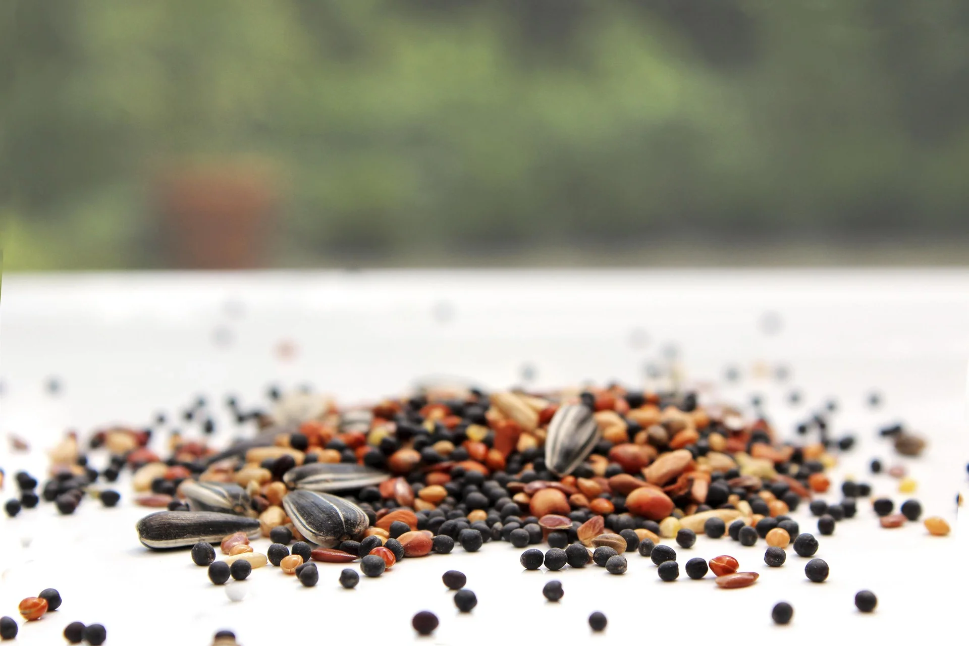 Ganzjahres-Vogelstreufutter, 1 kg - 2