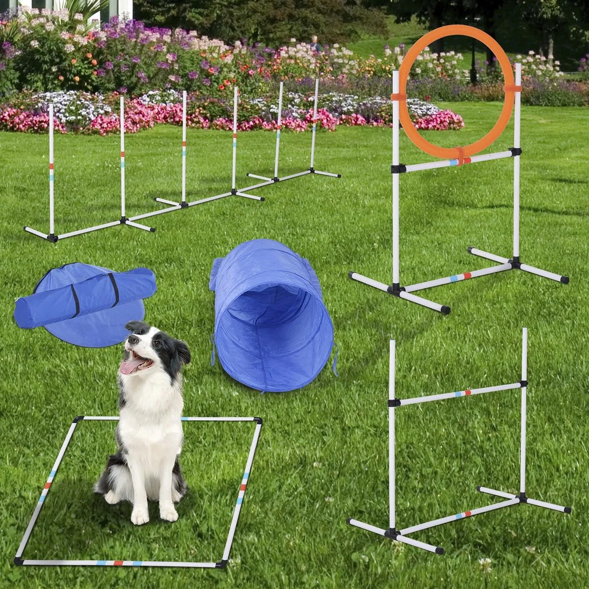 5-tlg. Hunde Agility Set Training für Haustiere Hundetrainigsset mit Hundetunnel Inklusive Tasche Leicht zu tragen Polye - 3