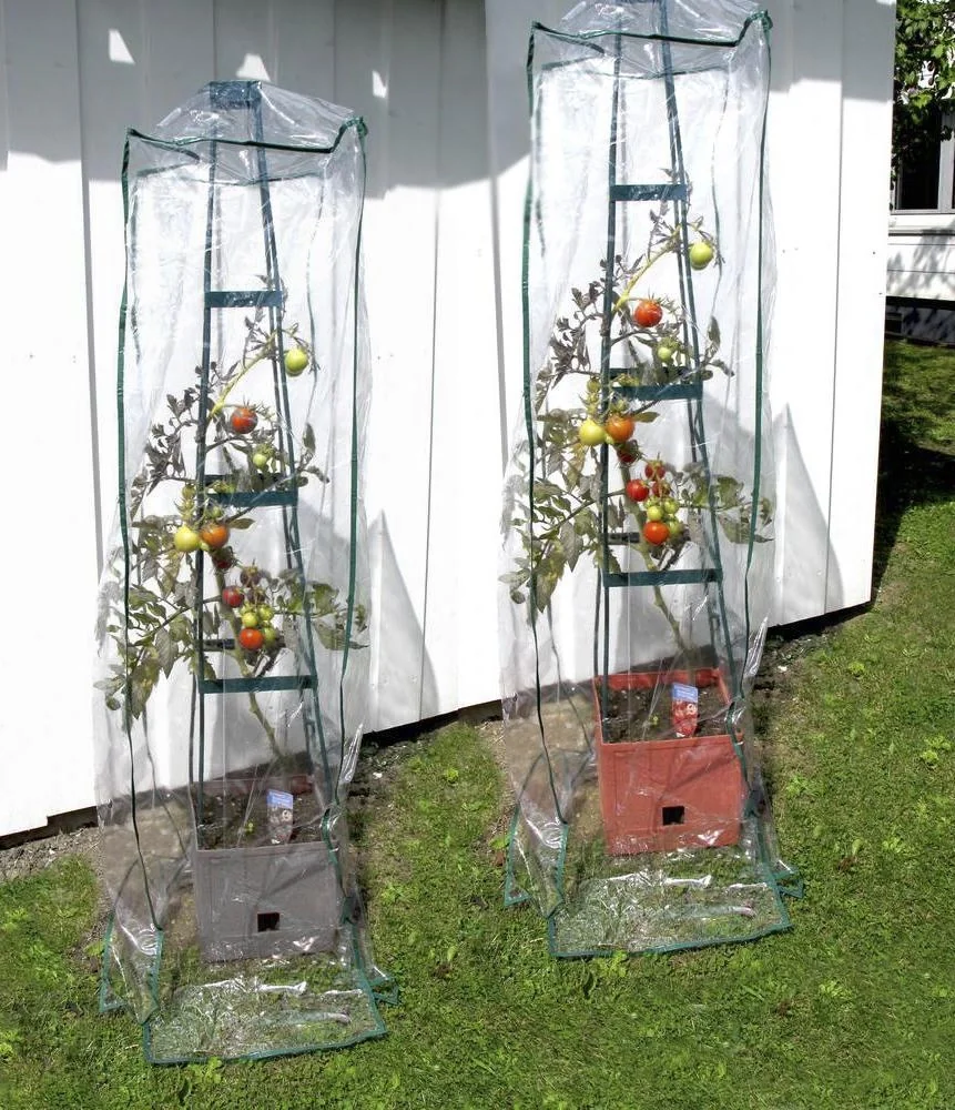 Pflanzturm "Maxitom" mit Rankgitter & Bewässerung - 7