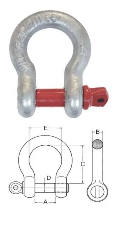 Schäkel - geschweift, 6,5 t - 1