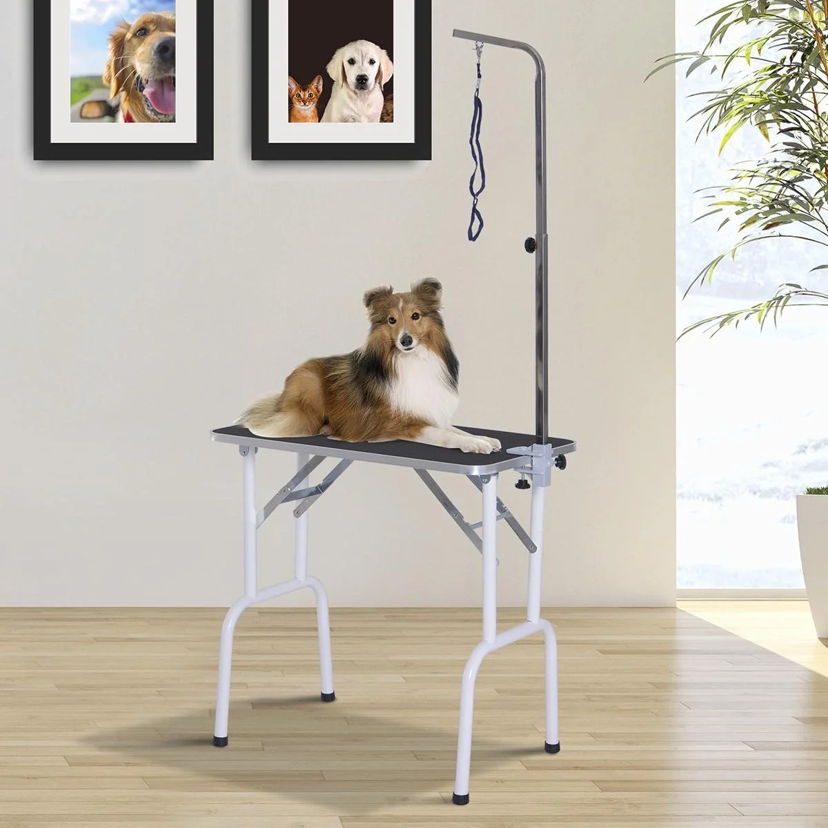 Trimmtisch klappbar Tierpflegetisch Schertisch Pflegetisch für Hunde Katzen Metall Schwarz 81 x 48 x 80 cm - 4