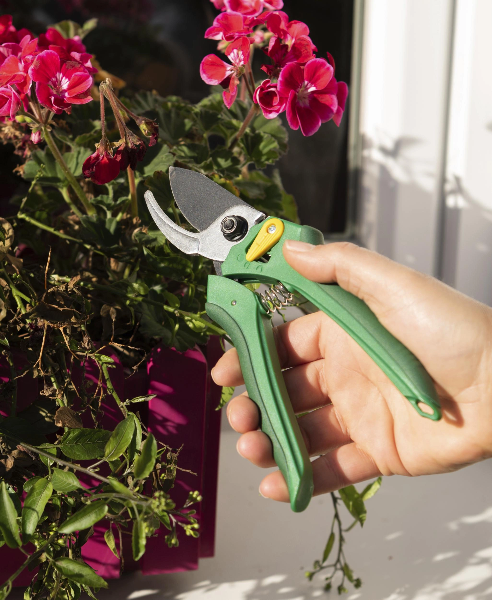 Einhand-Gartenschere vorbeischneidend - 6