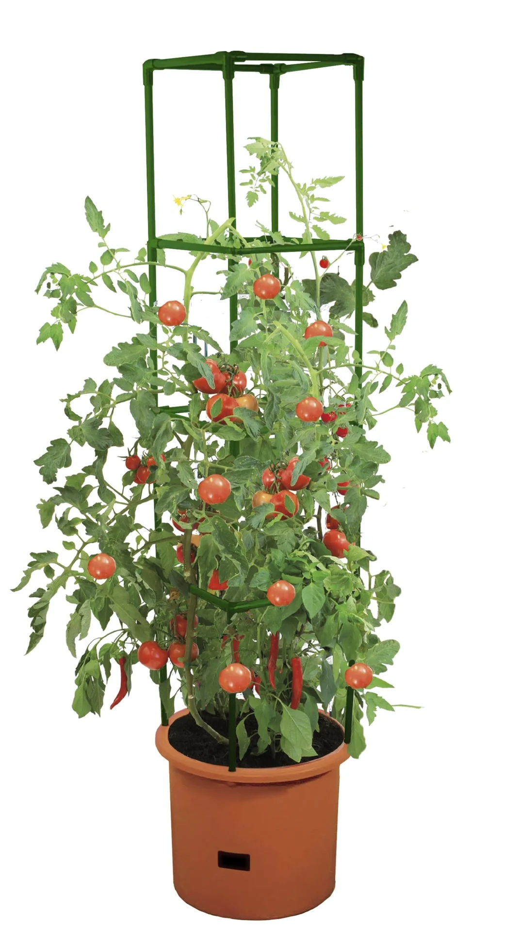 Growchampion Pflanzenchampion "Terracotta" - 2