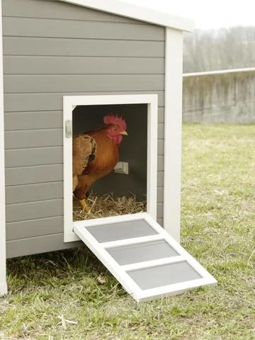 Eco-Kunststoffstall "Barney" für Hühner - UV- und wetterbeständig - 12