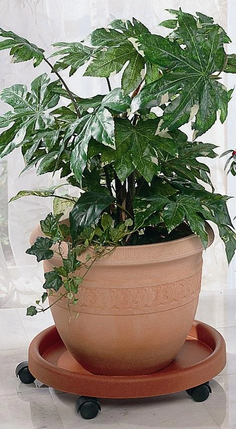 Pflanzenroller, terracotta - 2