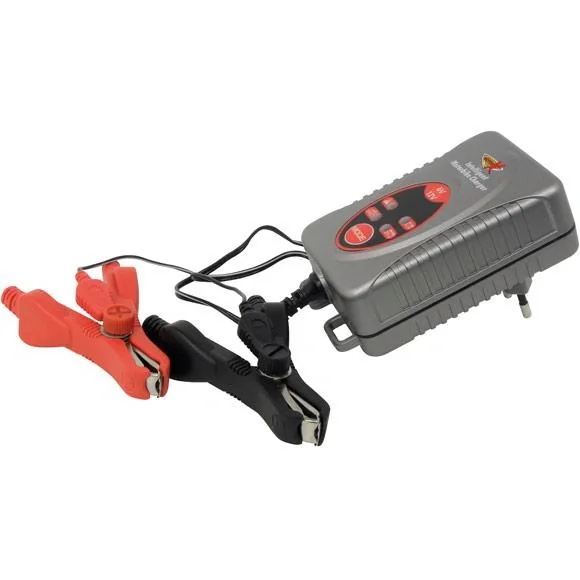 Batterie ladegerät - 1