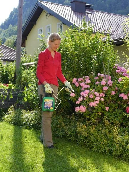 Roundup Speed Fertigmischung 2,5 Liter - sichtbarer Erfolg nach 24 Stunden - 2