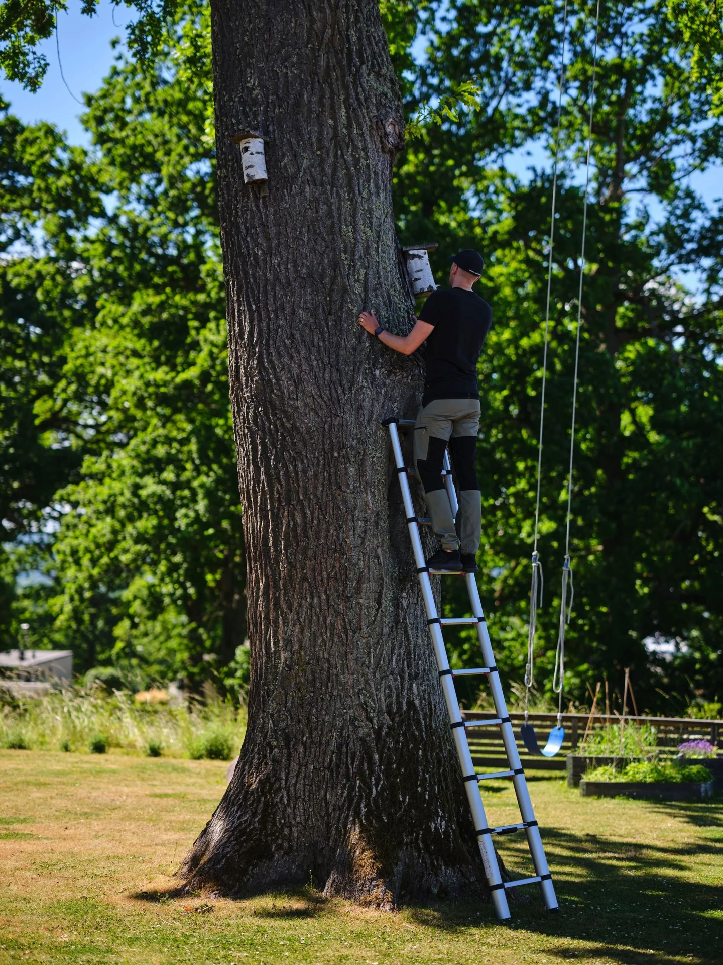 Teleskop-Anlegeleiter, AHW -Compastep XL ,3,8 Meter, mit Stabilisator - 5