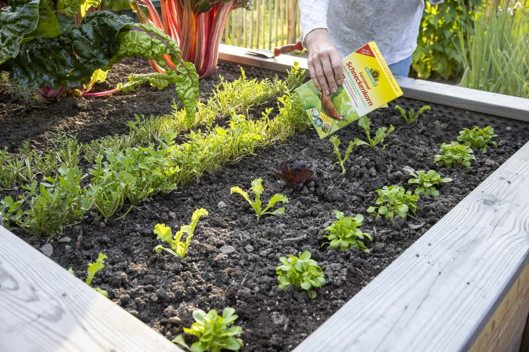 Schneckenkorn Ferramol - mit natürlichem Wirkstoff - 1