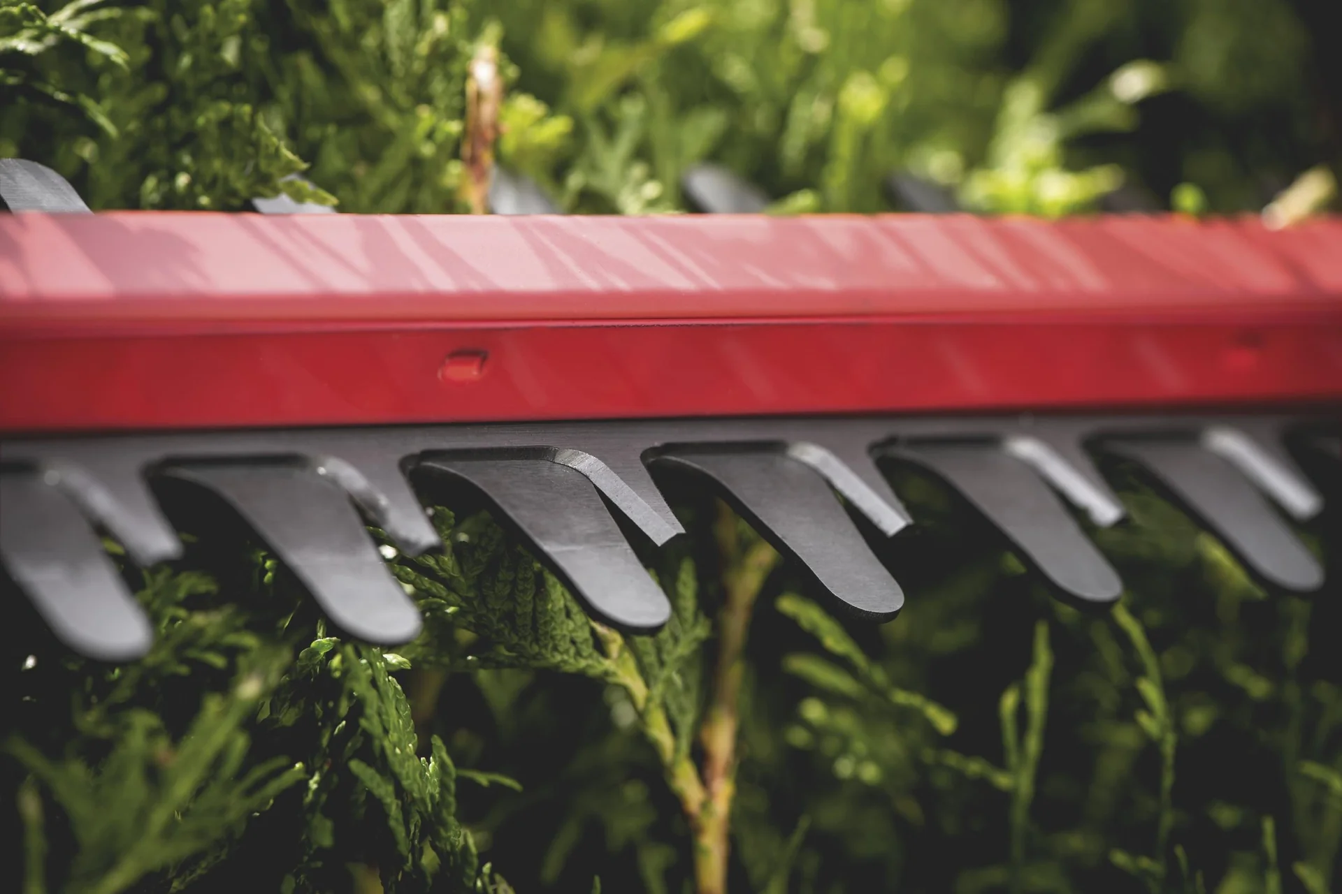 Akku-Heckenschere HS 18 LTX 45 ohne Akkupack, ohne Ladegerät - 5