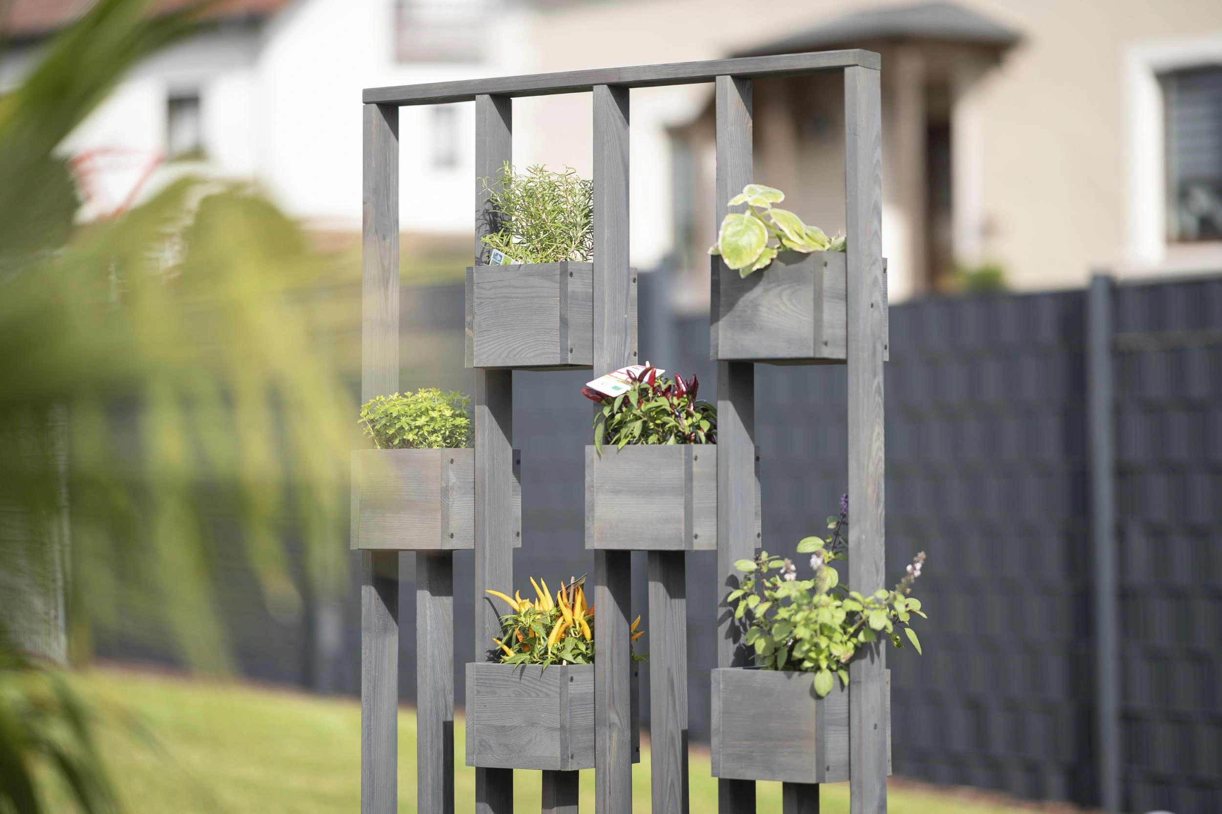 Pflanzenwand Ulla - 12