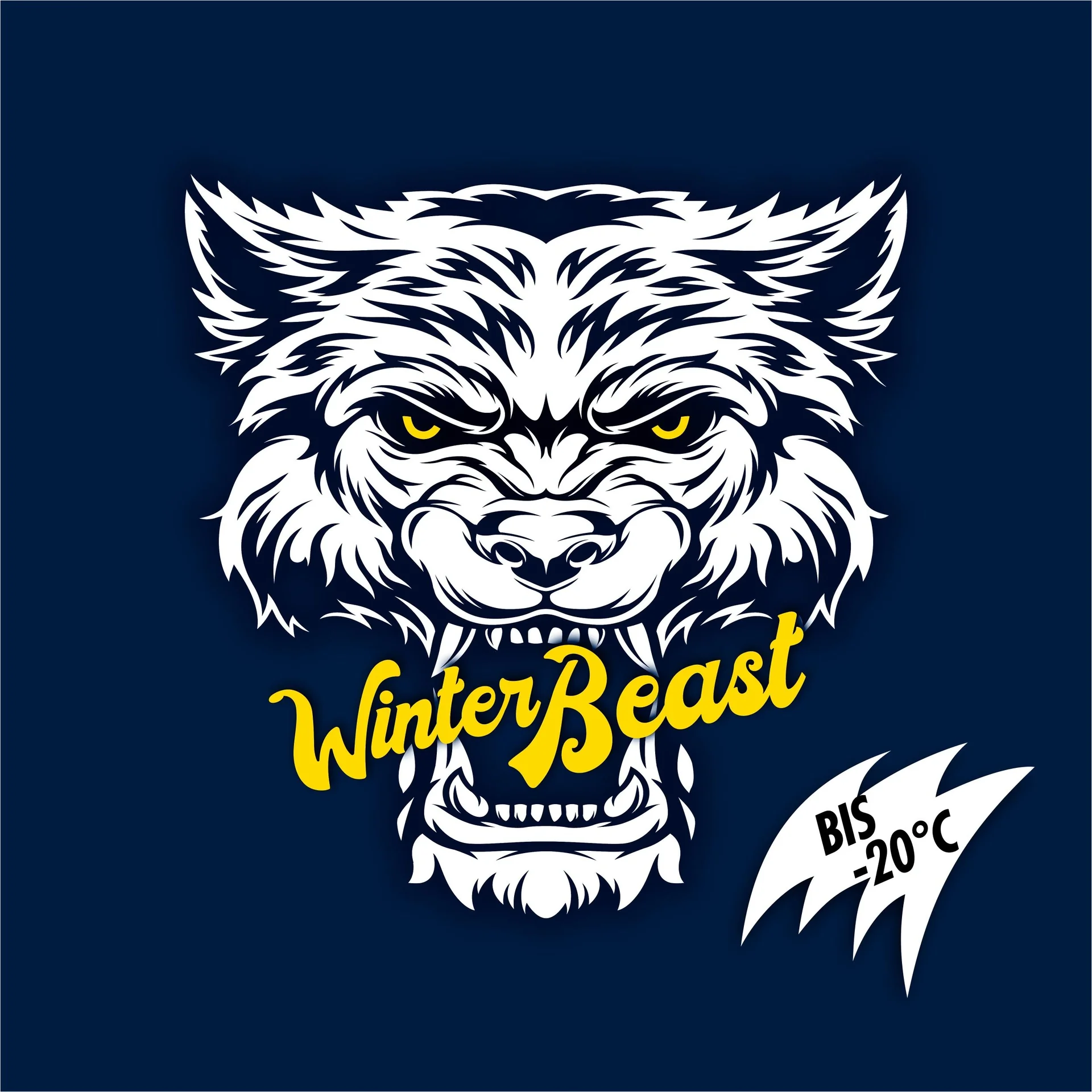 AntiFrost und KlarSicht - "Winter Beast" -20°C, 3 Liter - 4