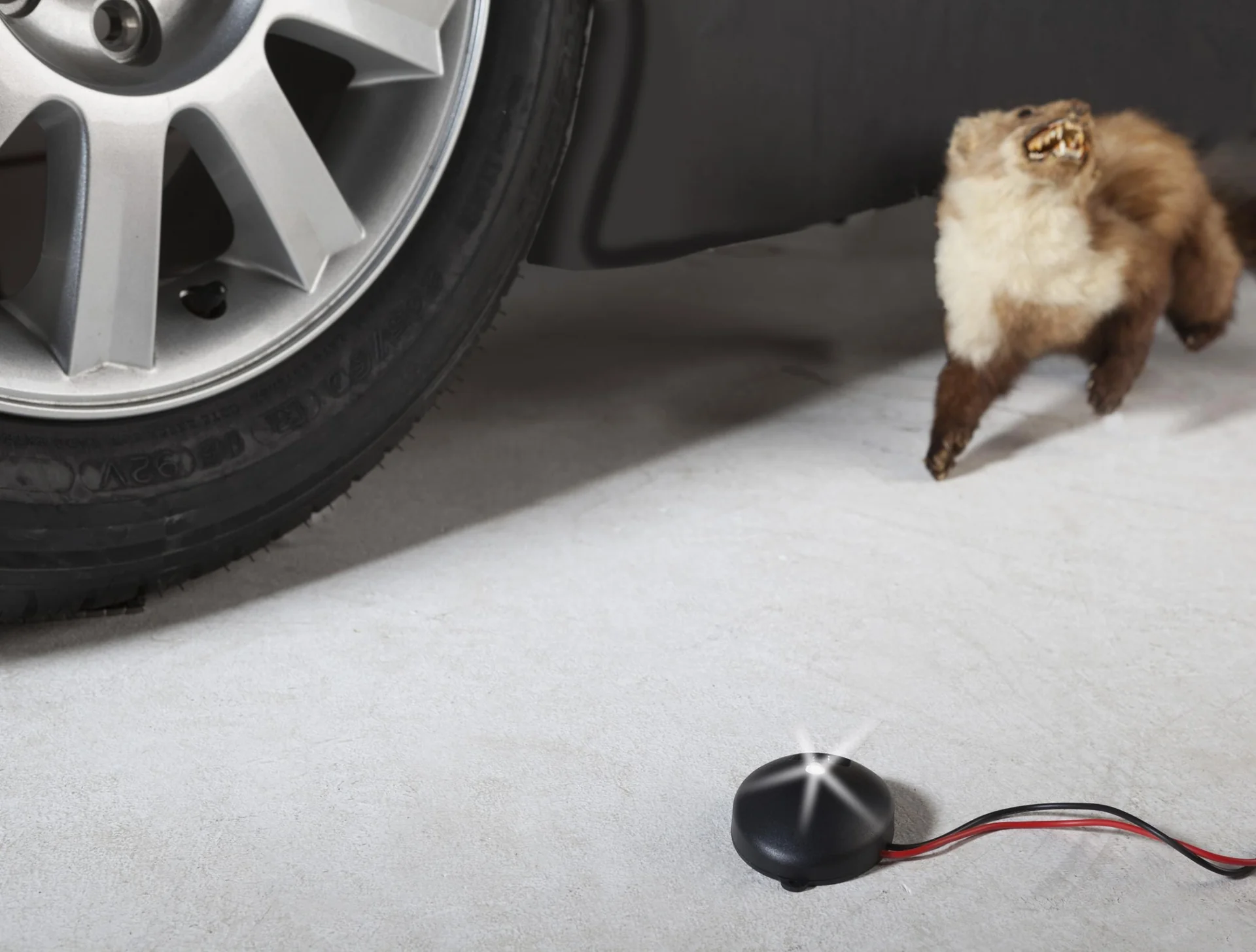 KFZ Marder Frei/LED Blitzlicht 12 Volt - 3