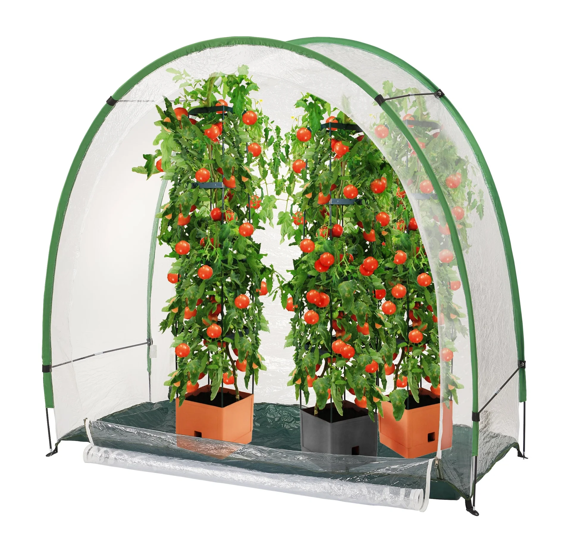 2 in1 Anzucht- und Überwinterungszelt Arctic 100 - 11