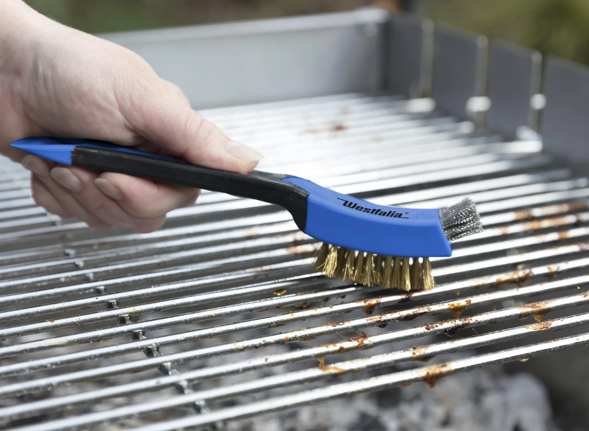 Bürsten-Set 3-teilig *Gratis* - 8