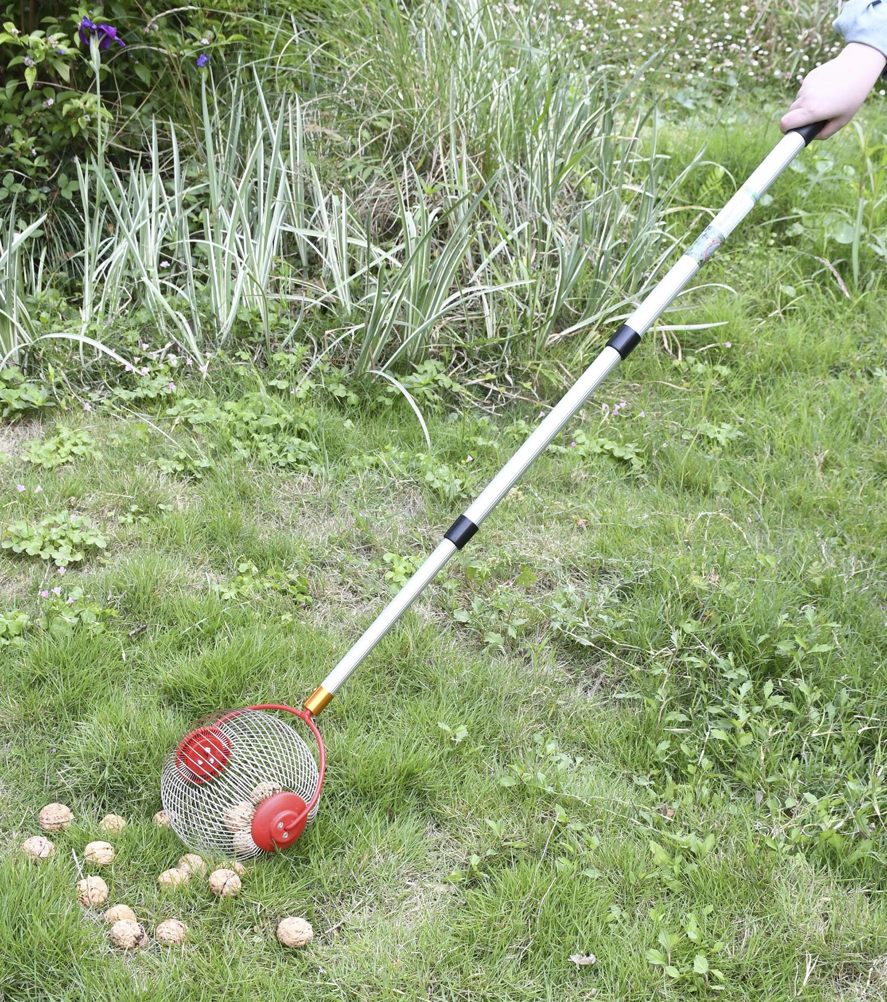Rollsammler mit Teleskopstiel, klein - 5