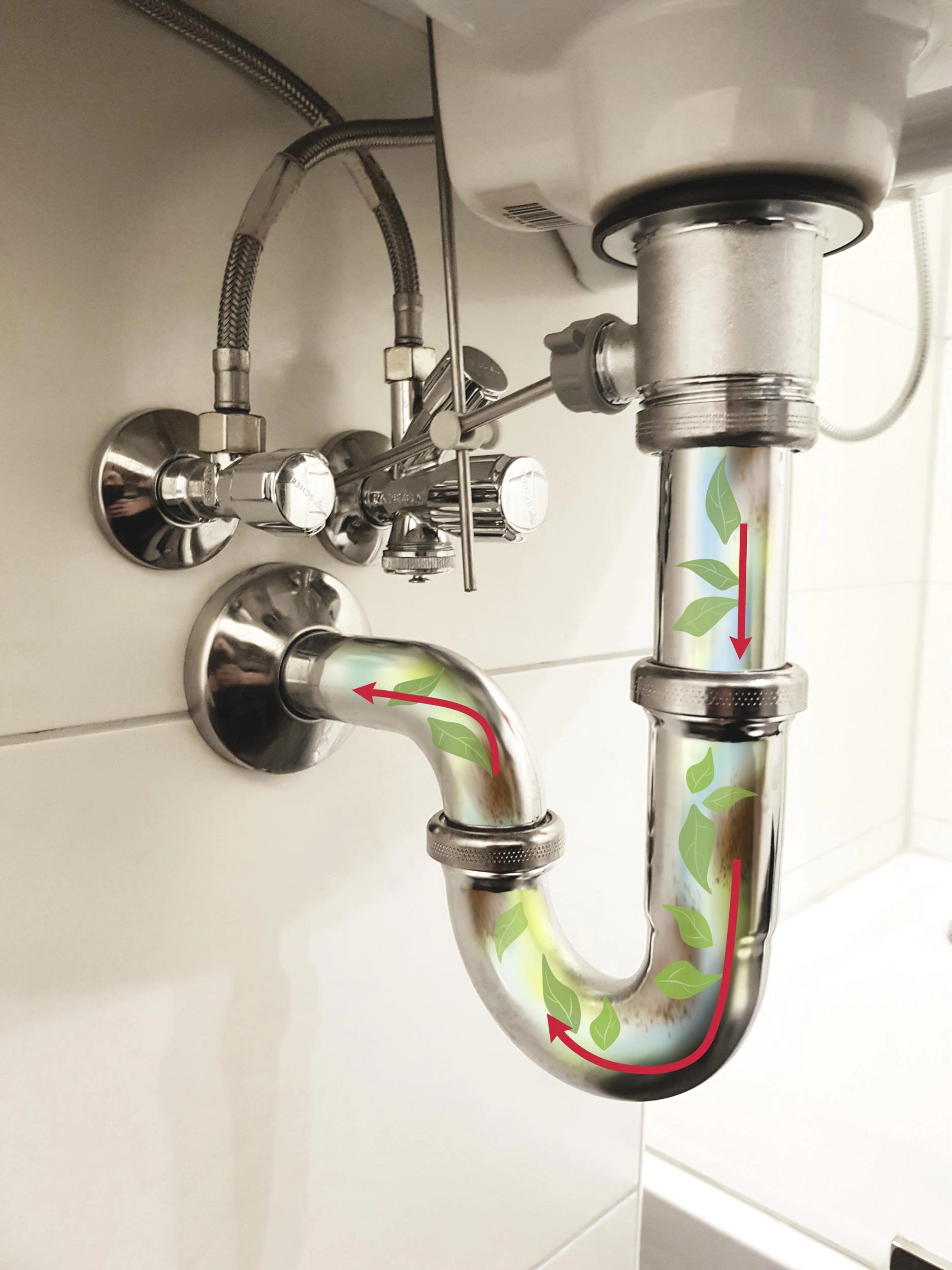 BIO Abflussreiniger, 500 ml - 3